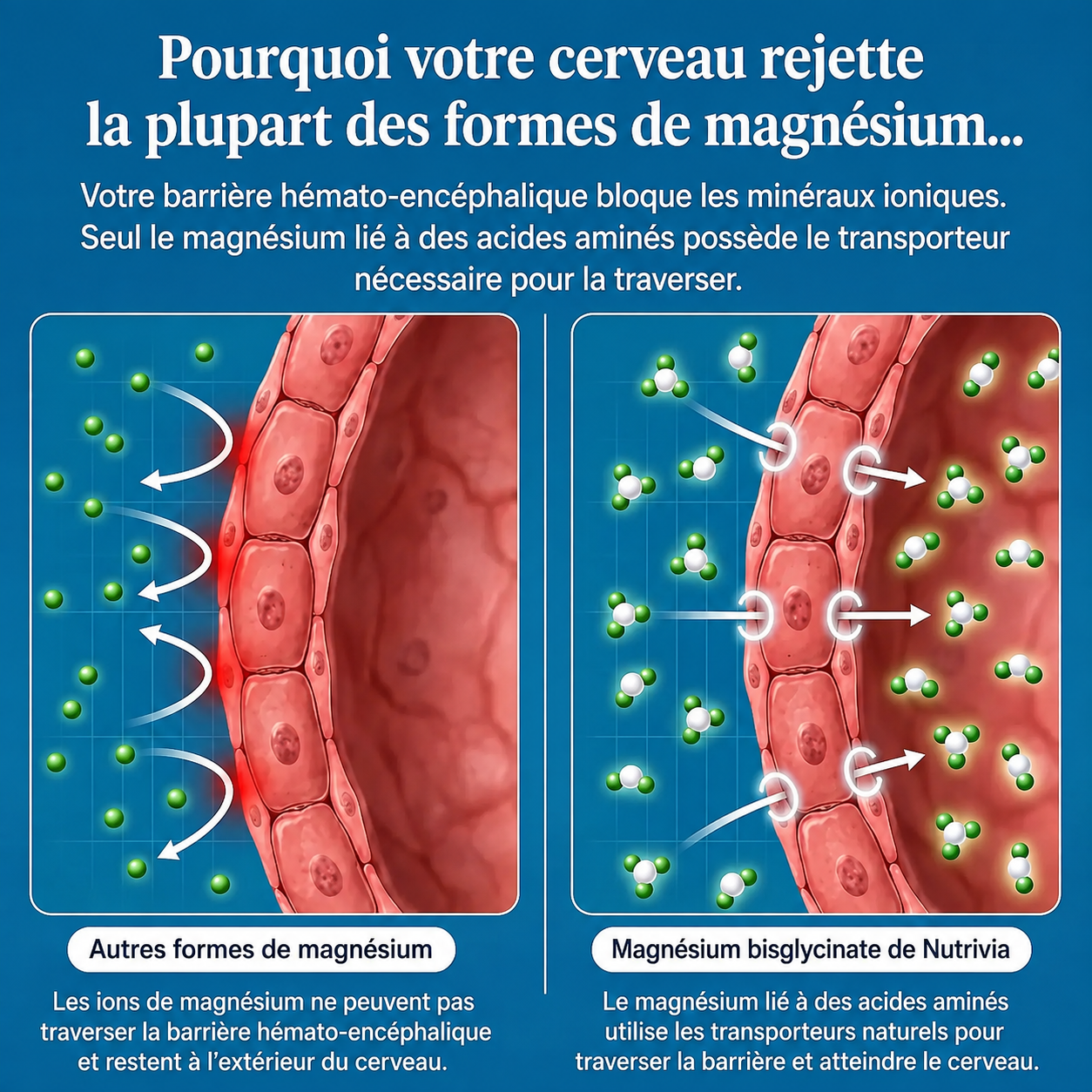 Nutrivia™ Gummies au Magnésium Bisglycinate